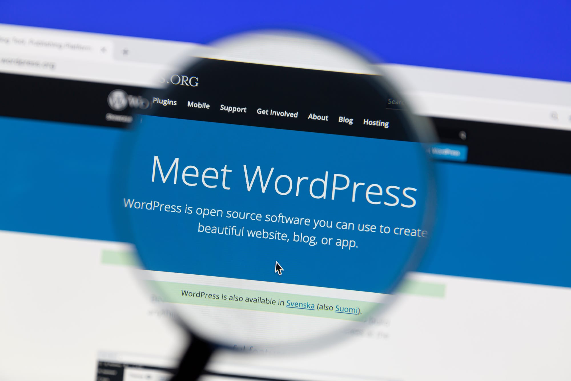 How To Maximize ROI on WordPress Hosting Solutions