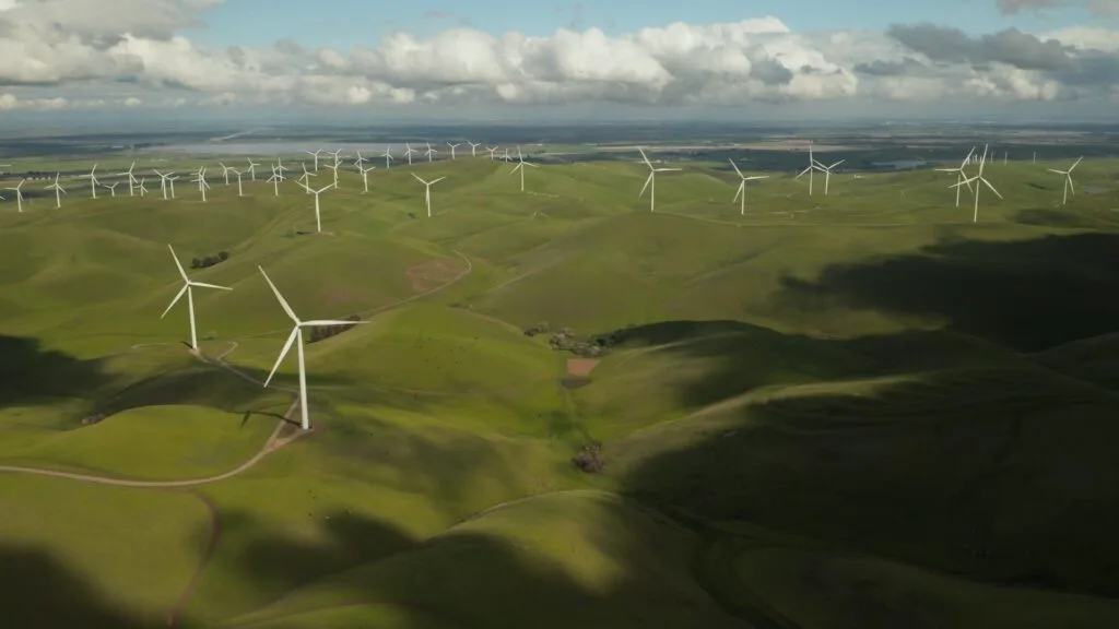 Eco-Friendly-Initiatives-How-Businesses-Can-Lead-the-Way-to-a-Greener-Future-002