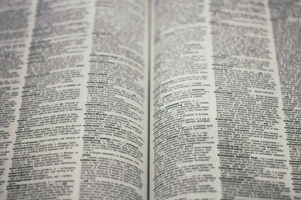 Image depicting a page from a translation book with text
