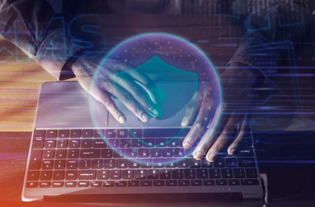 Business Owner's Handbook to Domain Security