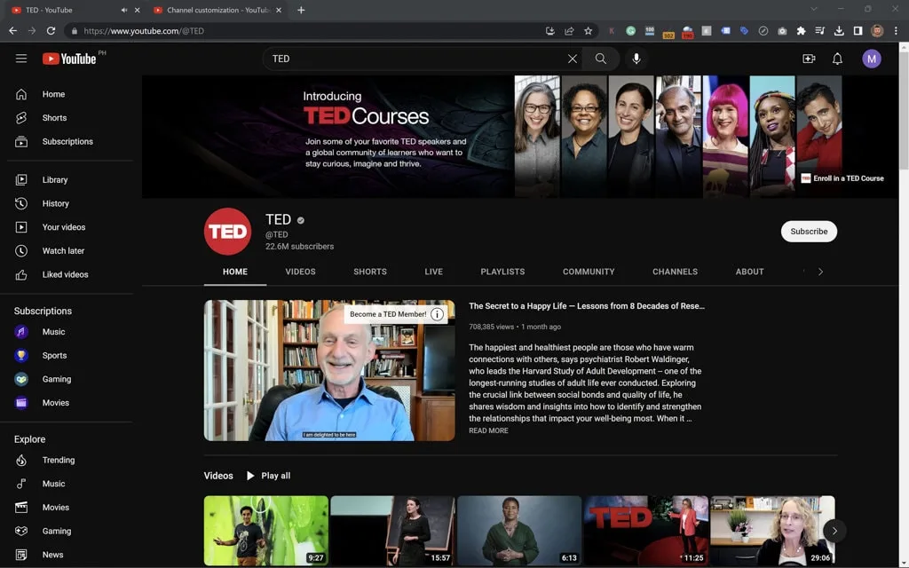 TED youtube channel