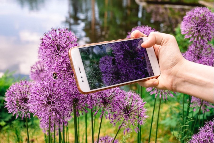 Top Product Photography Hacks That Every Business Owner Must Know About