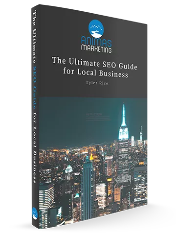 Local SEO eBook Cover for Business