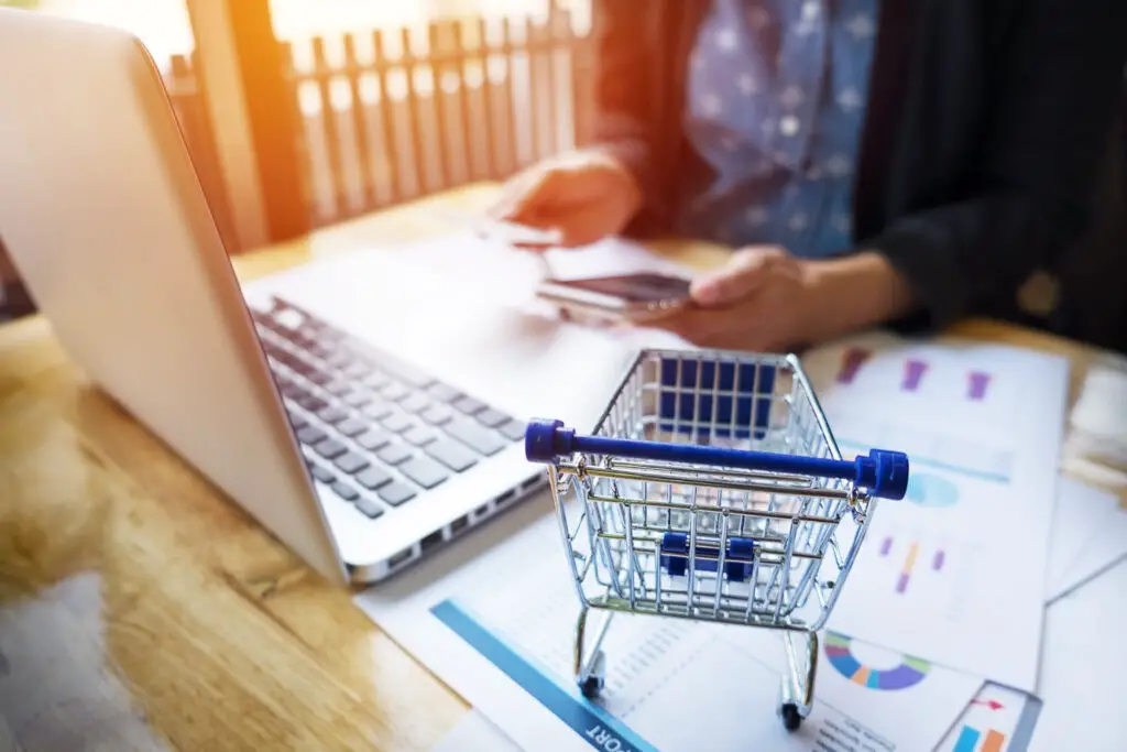 CMS for Your E-commerce Business