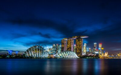 The Symbiosis of Digital Marketing and Accounting in Singapore’s Competitive Landscape 