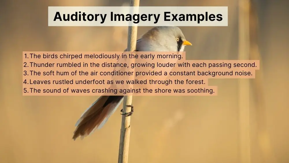 auditory imagery examples