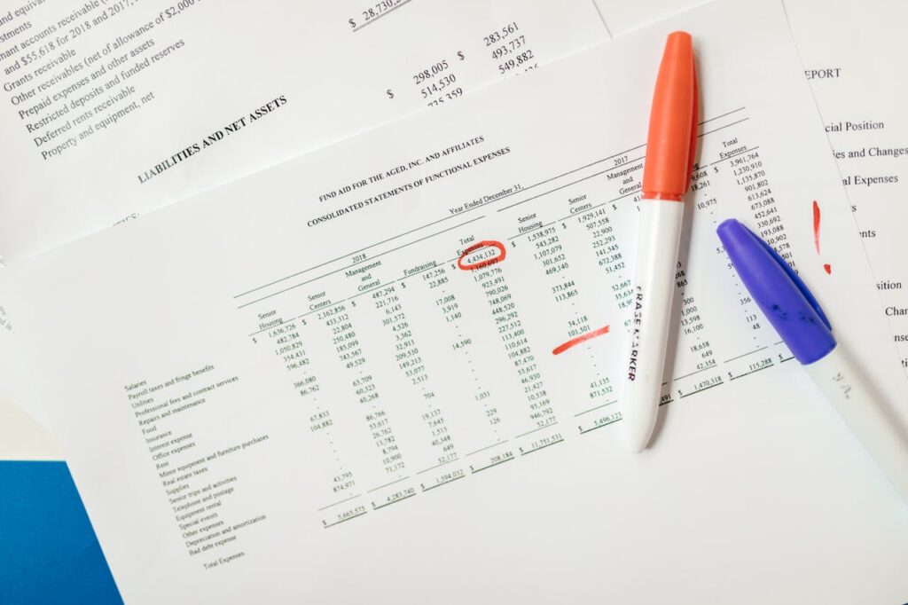 liabilities and net asset document